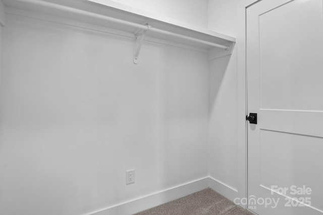 spacious closet featuring carpet flooring