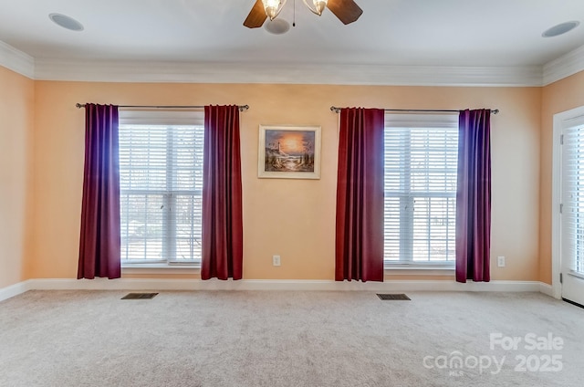 spare room featuring carpet, visible vents, and crown molding