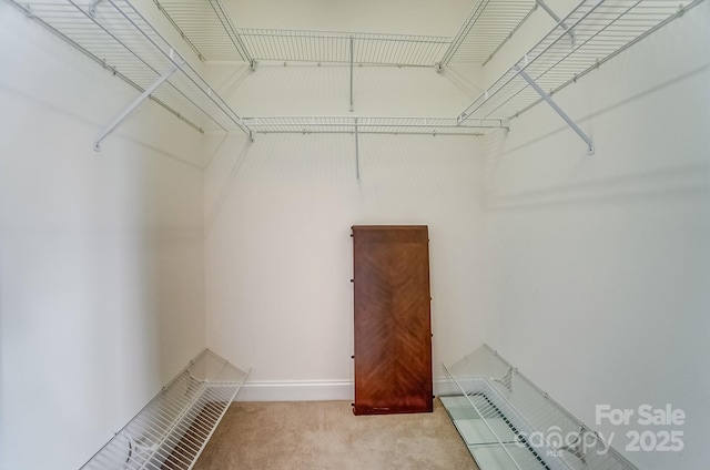 spacious closet with light colored carpet