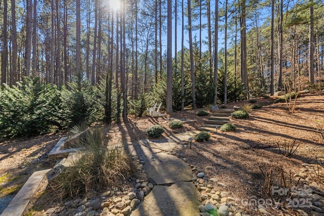 view of yard featuring a wooded view