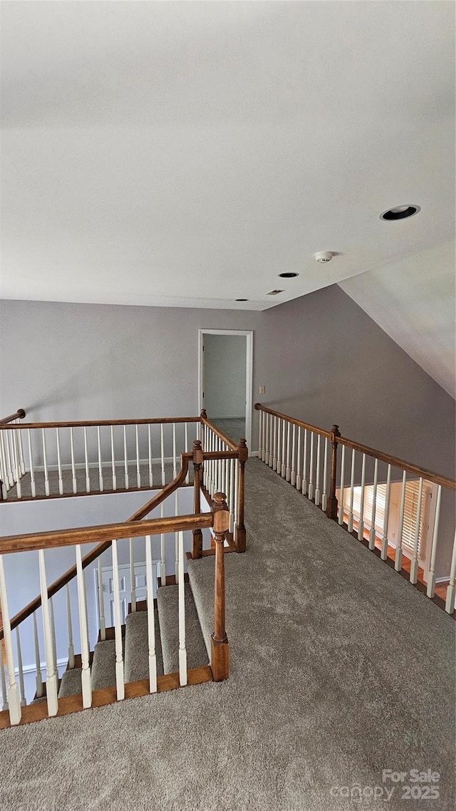 interior space featuring carpet and vaulted ceiling