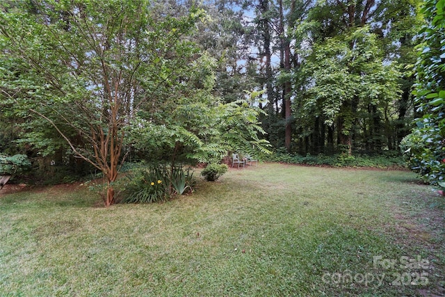 8731 Sheltonham Way, Charlotte, NC 28216 - view of green lawn