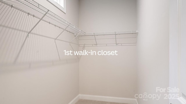 spacious closet with carpet