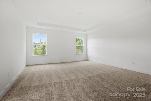 unfurnished room featuring carpet, a raised ceiling, and baseboards