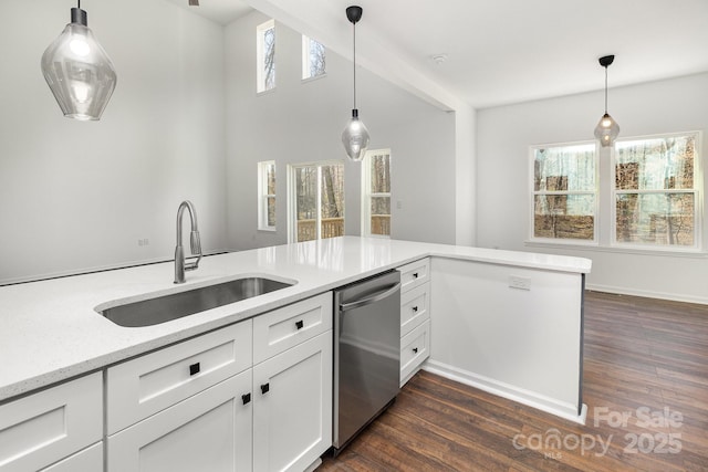 kitchen with a sink, dark wood-style floors, plenty of natural light, and stainless steel dishwasher