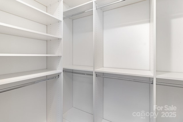 view of spacious closet