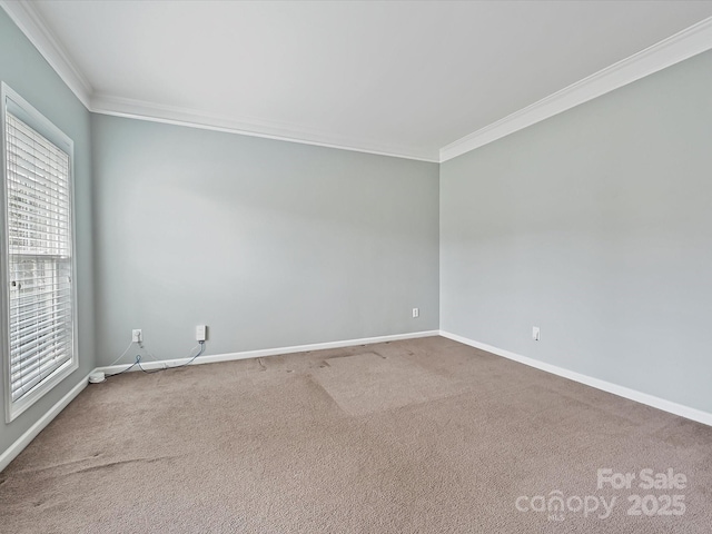 unfurnished room featuring baseboards, ornamental molding, and carpet flooring