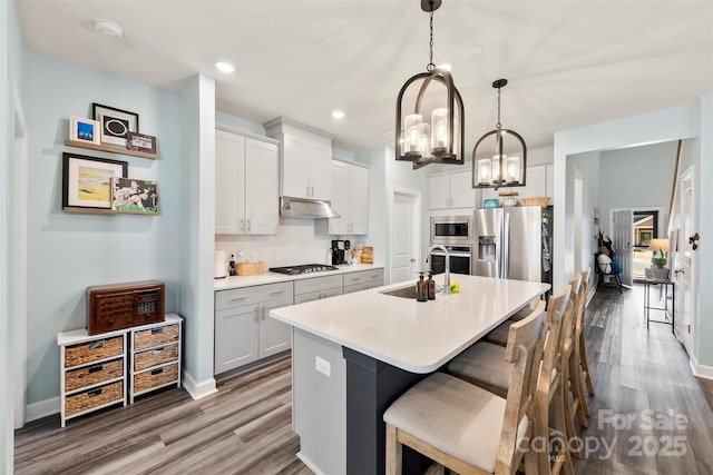 kitchen featuring an island with sink, wood finished floors, stainless steel appliances, under cabinet range hood, and a sink