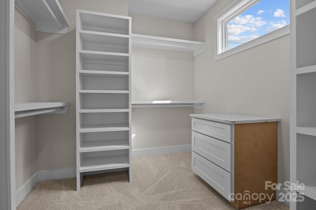 spacious closet featuring carpet flooring