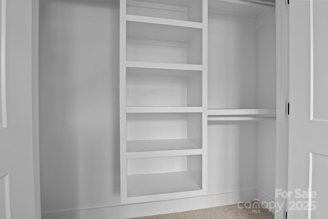 view of closet