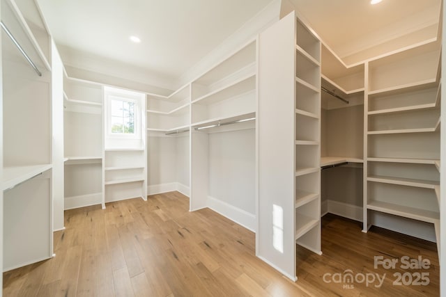 walk in closet featuring wood-type flooring