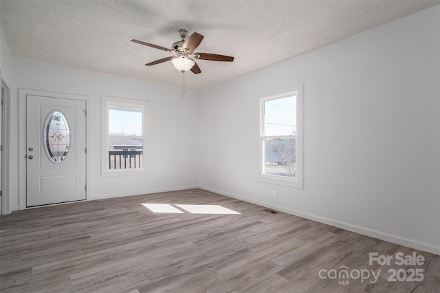 foyer entrance featuring a healthy amount of sunlight, a textured ceiling, and wood finished floors