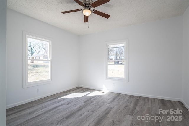 spare room featuring a textured ceiling, wood finished floors, a wealth of natural light, and baseboards