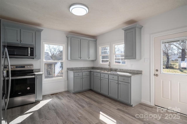 kitchen with appliances with stainless steel finishes, a wealth of natural light, gray cabinets, and a sink