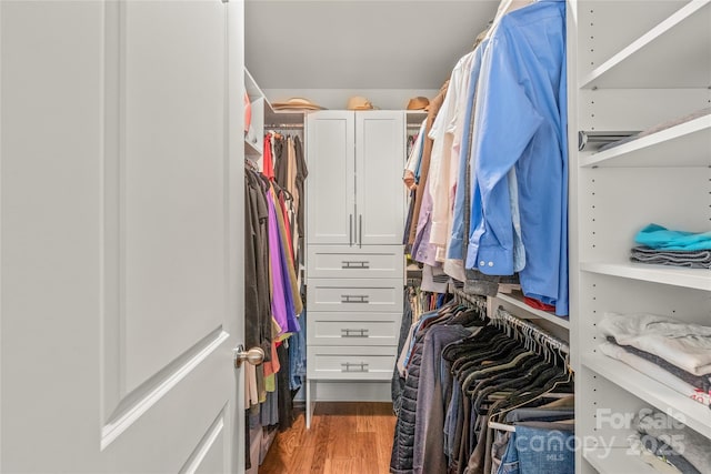 spacious closet featuring wood finished floors