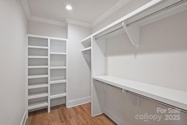 spacious closet featuring light wood finished floors