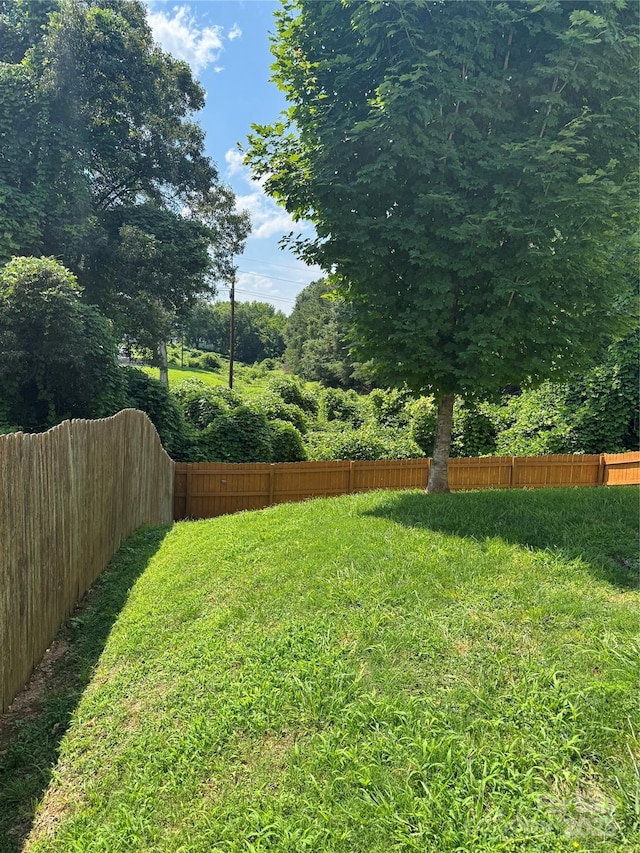 1021 Joselynn Dr, Gastonia, NC 28054 - view of yard