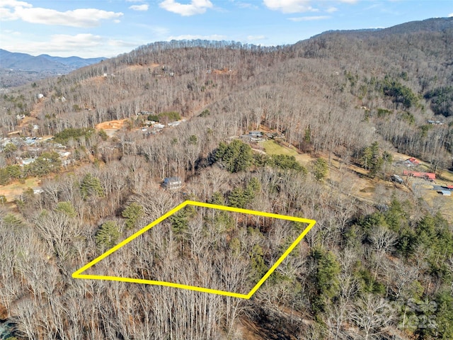 99999 Old Buckeye Cove Rd, Swannanoa NC, 28778 land for sale