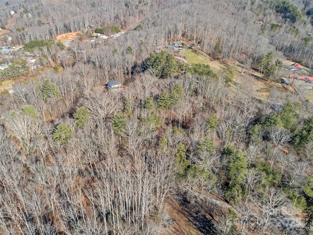 Listing photo 3 for 99999 Old Buckeye Cove Rd, Swannanoa NC 28778