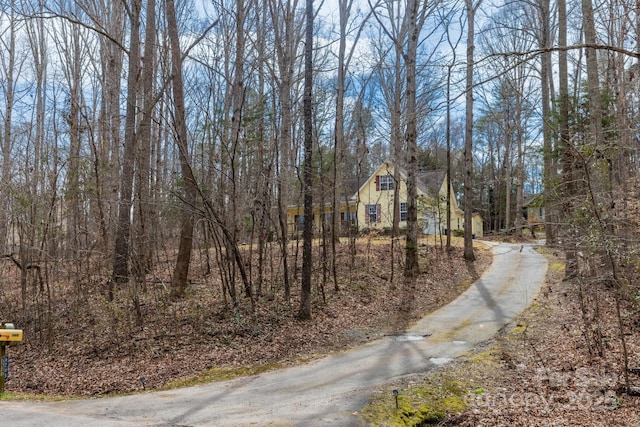 view of road with driveway