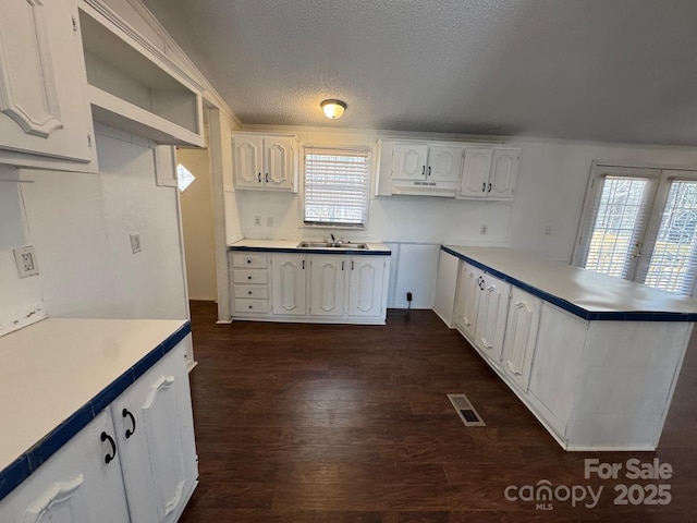 kitchen with plenty of natural light, visible vents, a sink, and under cabinet range hood