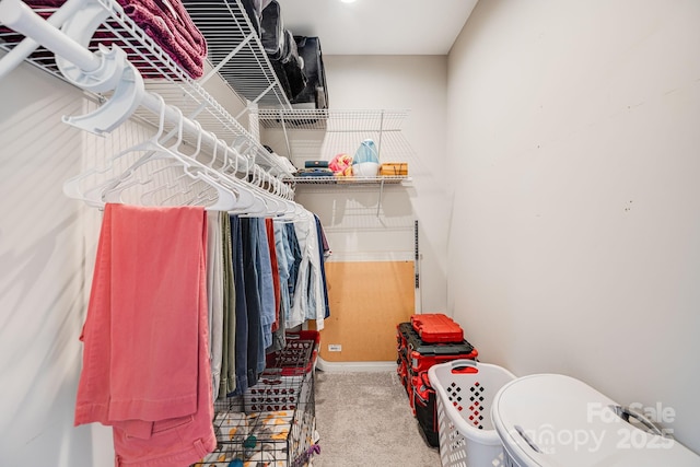 walk in closet with carpet floors