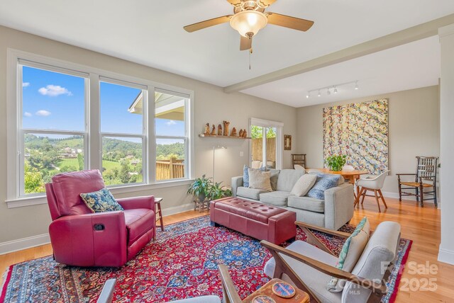 50 Rose Creek Rd, Leicester, NC 28748 - living area with baseboards, ceiling fan, wood finished floors, and track lighting