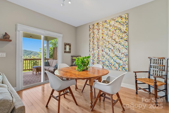 50 Rose Creek Rd, Leicester, NC 28748 - dining room with light wood-type flooring and baseboards