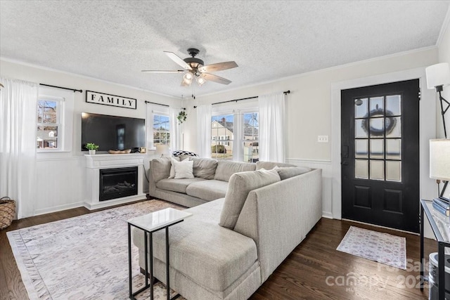 living area featuring a textured ceiling, dark wood-type flooring, a fireplace, and ornamental molding