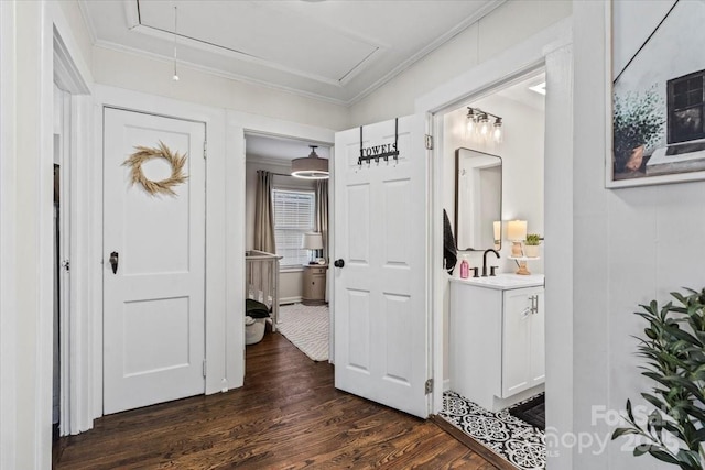 hall with dark wood-type flooring, a sink, attic access, and crown molding