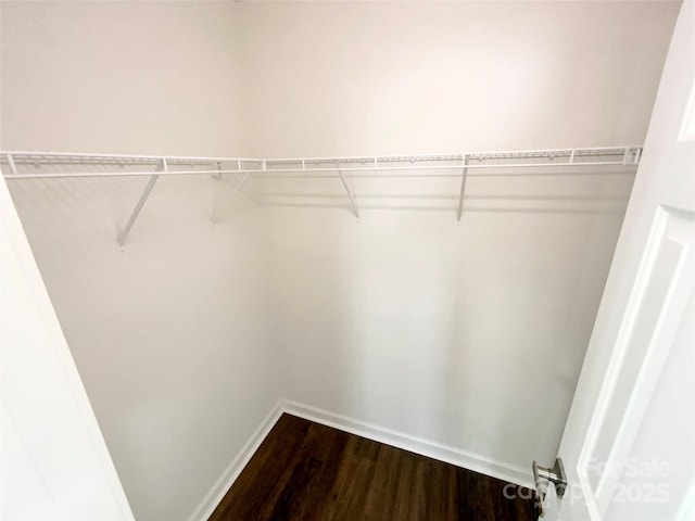 spacious closet with dark wood-style flooring