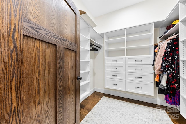 13124 Lemmond Dr, Matthews, NC 28105 - walk in closet with dark wood-style flooring