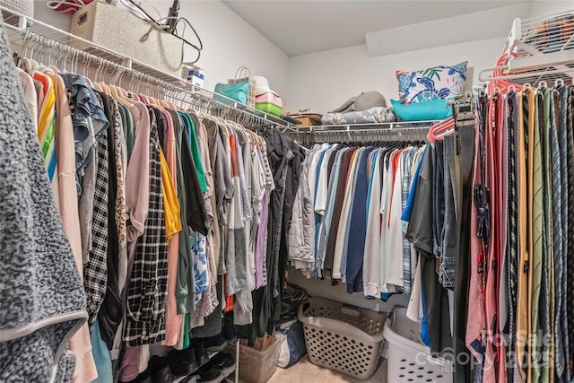 spacious closet with carpet floors