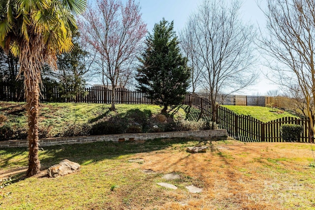 view of yard featuring fence private yard