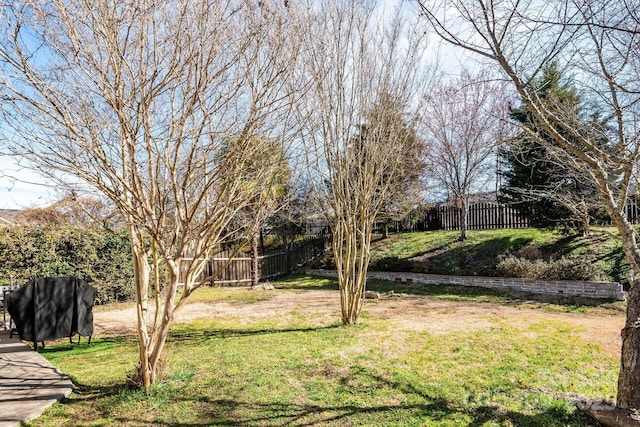 view of yard featuring a fenced backyard