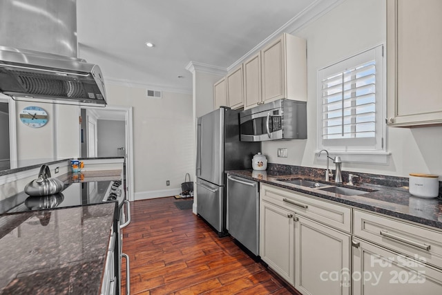 kitchen with appliances with stainless steel finishes, ornamental molding, dark wood-type flooring, island exhaust hood, and a sink