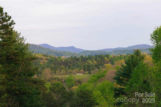 view of mountain feature featuring a view of trees