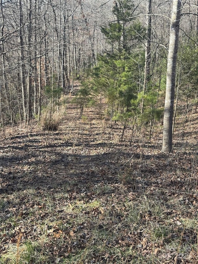 206 Westmoreland Trl Unit 8, Tryon NC, 28782 land for sale