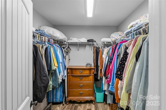 spacious closet with wood finished floors