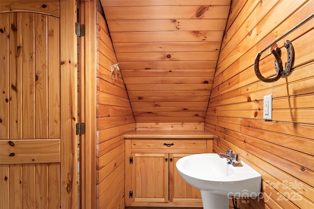 bathroom with a sink and wood walls