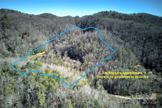 aerial view with a mountain view and a forest view