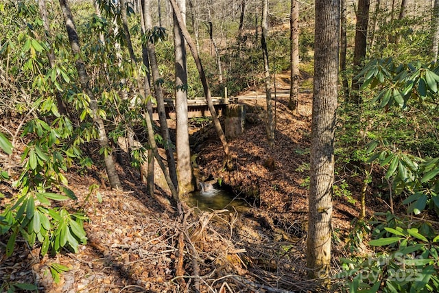 view of local wilderness featuring a view of trees