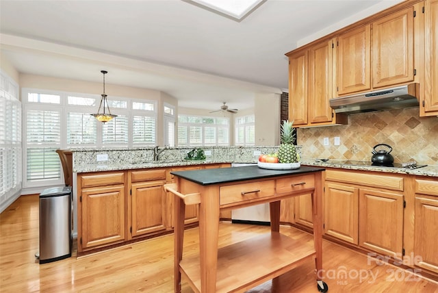 kitchen with under cabinet range hood, a peninsula, light wood-style floors, and black electric cooktop