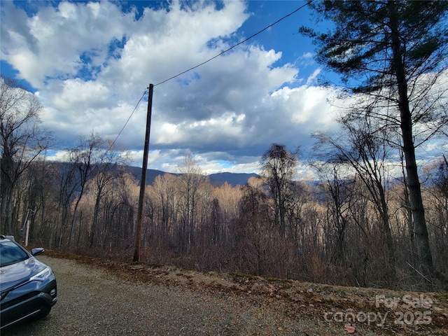 125 Lasso Ln Unit 304, Waynesville NC, 28785 land for sale