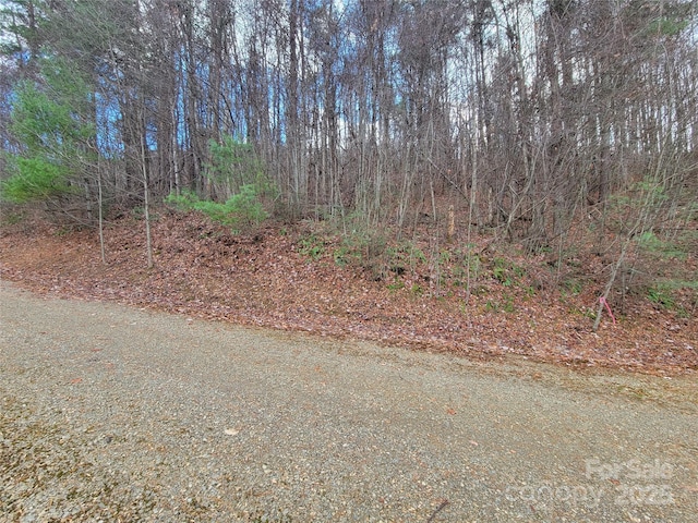 Listing photo 3 for 125 Lasso Ln Unit 304, Waynesville NC 28785