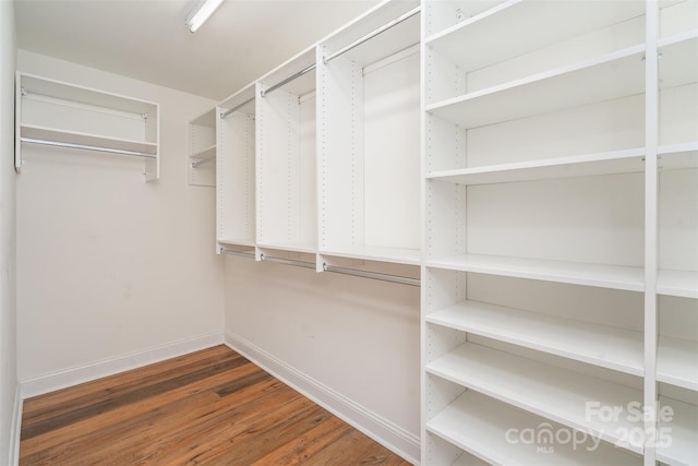 walk in closet with wood finished floors