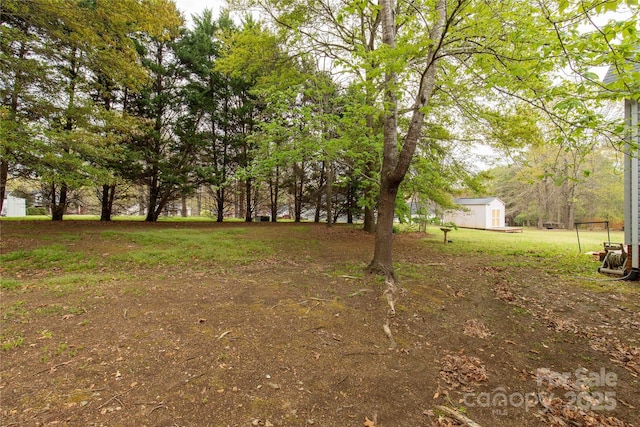 view of yard with an outbuilding and a storage unit