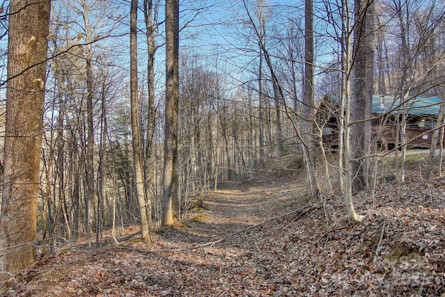 view of nature with a forest view