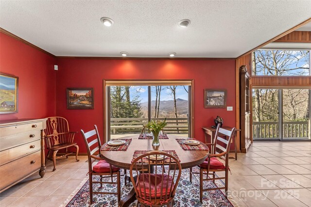 dining space with light tile patterned flooring, a textured ceiling, a mountain view, and baseboards
