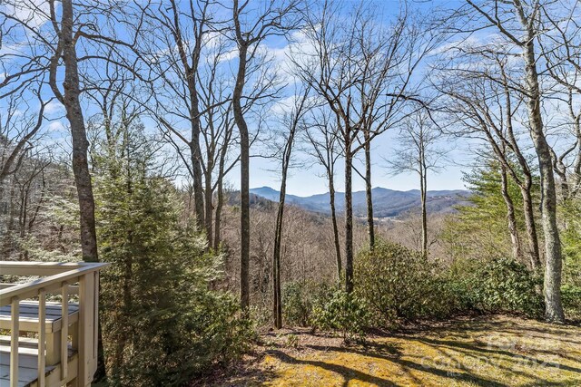 mountain view with a forest view